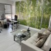 Alcont Total Express SRL - Servicii Contabilitate