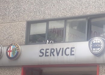 Auto Perugia
