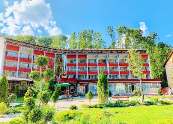 Hotel Parc Moneasa