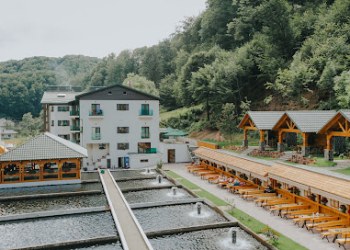 Lostrița