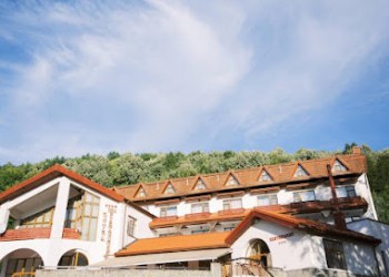 Hotel McPietroasa